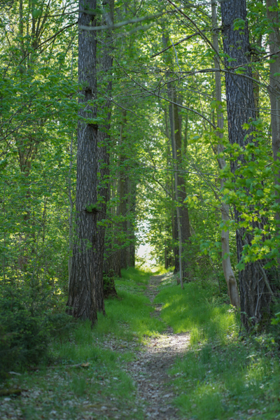 Route 14 Sparkasse Vogtland